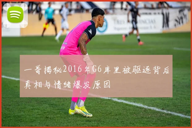 一哥揭秘2016年G6库里被驱逐背后真相与情绪爆发原因